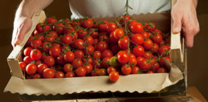 La Piedigrotta Varese - Banner 1